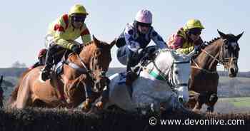 Unmissable Christmas treats up for grabs in Devon and Cornwall point-to-point online auction - Devon Live