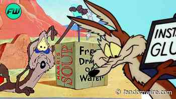 Coyote vs. Acme: Everything We Know So Far About The Upcoming Road Runner Film - FandomWire