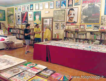 Nuovo Magazzino Frigidaire nasce a Foligno una succursale di Frigolandia - Foligno Oggi