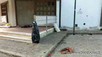 Rifiuti e sacchi stracolmi ovunque, la Pineta San Francesco è un disastro. Interviene l'Amiu: "Colpa di chi bivacca di notte" - BariToday