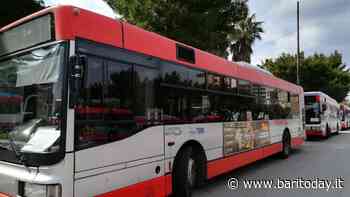Stop anticipato ai bus nei giorni di vigilia e Park&Ride non attivi a Natale e Capodanno: il piano Amtab per le feste - BariToday