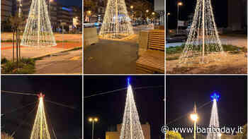 Da Torre a Mare a Madonnella, nel primo Municipio completata l'installazione delle luminarie natalizie - BariToday