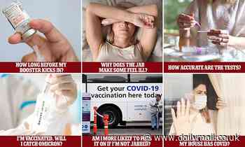 Everything the scientists know right now about Omicron