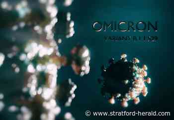 Covid Omicron case numbers for the Stratford and Warwick districts - Stratford-Upon-Avon Herald