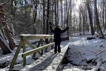 LIFE WITH CYNTHIA: Memories can transport us to many places - BradfordToday