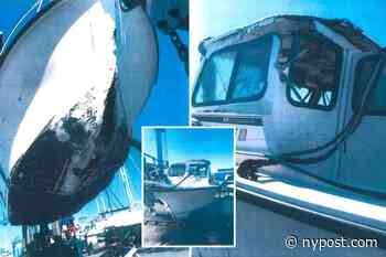 How a-boat that? Inexperienced transit workers wrecked the MTA's only boat - New York Post