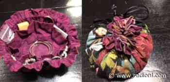 Kamloops RCMP requests help in recovering missing jewelry bags - radionl.com