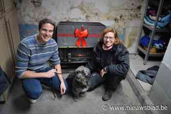 Toch een warme kerst voor asiel Knuffelpootjes: kachel geïnstalleerd nadat 5.600 euro werd ingezameld