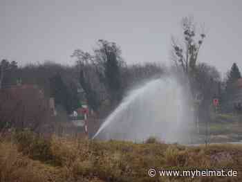 Was ist denn da los ? - Lutherstadt Wittenberg - myheimat.de - myheimat.de