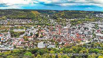 Scharte kostet viel Geld: 600 Einwohner fehlen in Nagolds Statistik