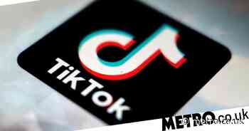 TikTok to launch food delivery service Kitchens for viral dishes - Metro.co.uk