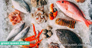 CULT Food Science Partners With Umami Meats To Drive Down Cultivated Seafood Industry Costs - Green Queen Media