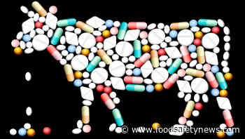 Super bugs bedevil food safety - Food Safety News