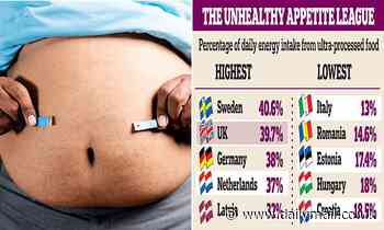Britons' taste for junk food is still among Europe's worst as we rank second to Sweden - Daily Mail