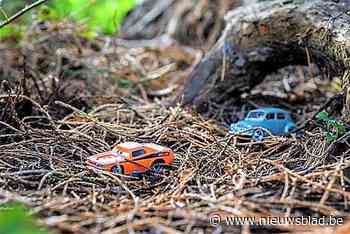 Met mini-auto’s op ontdekking naar maxibomen in Arboretum