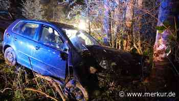 Zwischen Mindelheim und Mattsies: 22-Jährige weicht Reh aus und kracht in Baum - Merkur Online