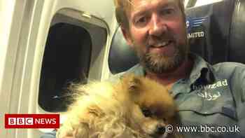 Pen Farthing: 'I was called disgusting over Kabul animal rescue'