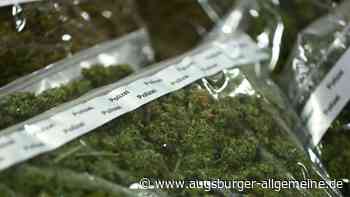 Polizisten finden Drogen, Cannabis-Aufzuchtanlage und Waffe in Wohnung