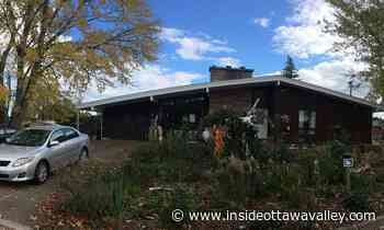 'Our safe place': Smiths Falls couple hopes to educate public on naturalized gardens - Ottawa Valley News