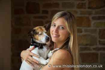 Dog left abandoned in Christmas finds new home