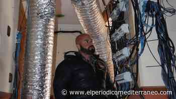 Libres todos los detenidos por cultivo de marihuana y blanqueo en Castellón - El Periódico Mediterráneo