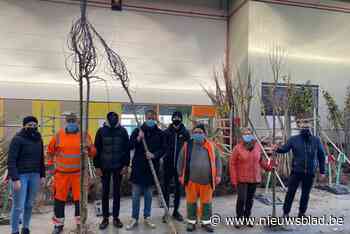 2.000 gezinnen halen gratis boom op (Deinze) - Het Nieuwsblad