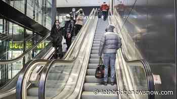 Small businesses again struggling amid capacity limits - Lethbridge News Now