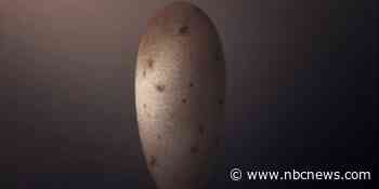 A perfectly preserved dinosaur egg highlights link to modern birds