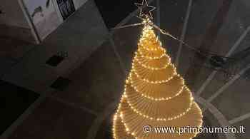 A Petrella l'albero di Natale è artigianale: l'opera è del vice sindaco - Primonumero