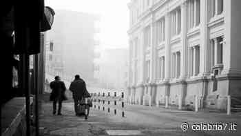 Aneddoti, storie e ritratti di avvocati catanzaresi nell'opera di Bellacoscia - Calabria 7