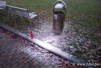 Video toont hoe scholier vuilnisbak in brand steekt in Munsterbilzen - Het Belang van Limburg