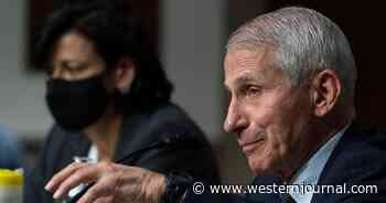 Fauci Demands Fox News Host Be 'Fired on the Spot' for Using a Metaphor