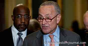 Backfire: Chuck Schumer Just Put Vulnerable Senate Democrats in Mortal Political Danger
