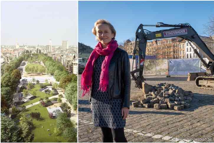 Nieuw park op Gedempte Zuiderdokken krijgt  waterbassins en grasweide groter dan voetbalveld: “Dit wordt ons Central Park”