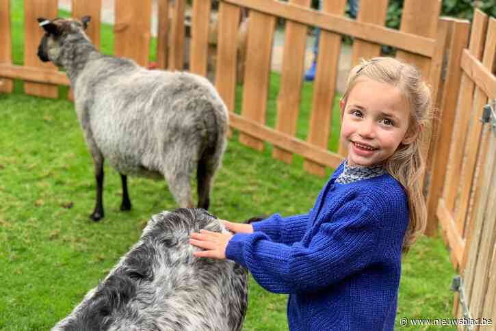 Mama maakt Facebookpagina voor ongeneeslijk zieke dochter Aline: “Nog zo veel dromen voor haar, maar de tijd is kort”