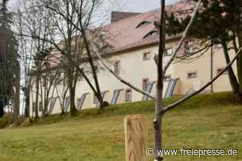 Apfelbäume hinter dem Rathaus - Freie Presse