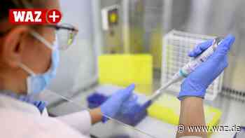 Corona in Witten: Fast 30 Omikron-Verdachtsfälle im Kreis - Westdeutsche Allgemeine Zeitung