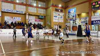 Mola New Basket, poker è di vittorie: superata anche Trani - Tuttobasket.net