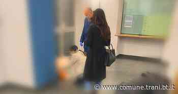 PARTE DA DOMANI IL PIANO DI EMERGENZA FREDDO NEI COMUNI DI TRANI E BISCEGLIE - Città di Trani