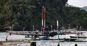 "Free Papua". I ribelli con arco e frecce sognano l'indipendenza - L'HuffPost