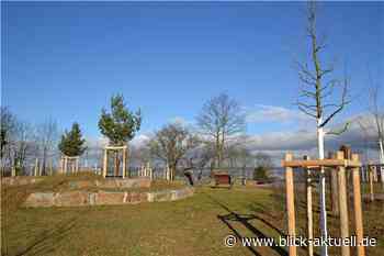 Panoramablick über Koblenz - Blick aktuell