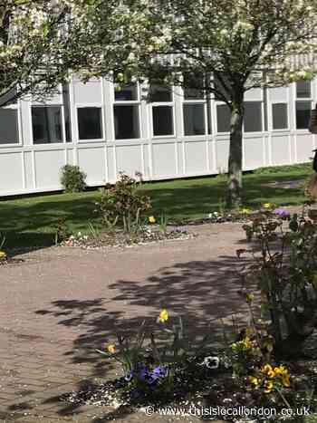 Is it time to remove mock exams? -- Fran Riches, Greenshaw High School