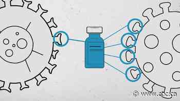 What is the Omicron variant?
