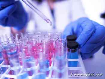 The best biology degree jobs to start a rewarding career