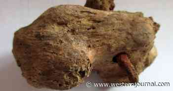 Archeologists Stunned After Full Skeleton of Crucifixion Victim Uncovered in U.K.