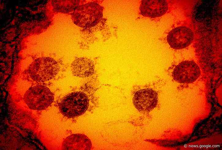 There's a giant, mysterious gap in the omicron variant's family tree - Salon