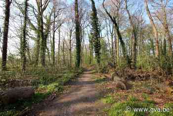 Kempens Landschap gaat het Hulgenrodebos in Borsbeek beheren - Gazet van Antwerpen