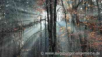 Leserfotowettbewerb 51/2021 Der besondere Blick auf Augsburg - Augsburger Allgemeine
