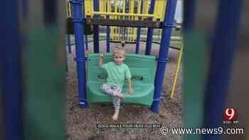 4-Year-Old Boy Loses Arm In Tecumseh Dog Attack - news9.com KWTV