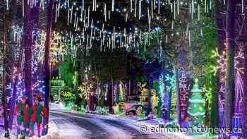 Ticket holders unhappy Winter Wonder Forest not offering refund after cancellation - CTV News Edmonton